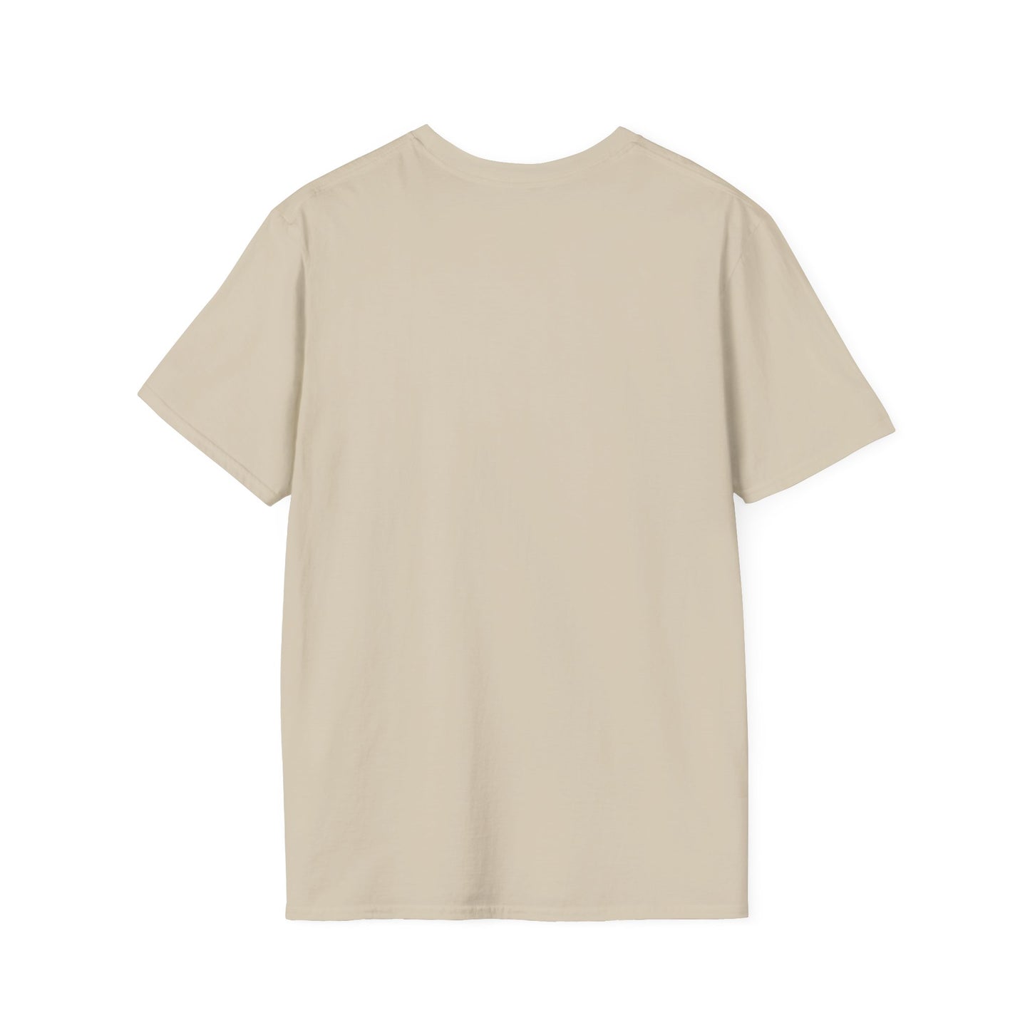 Fencing Sensei T-Shirt